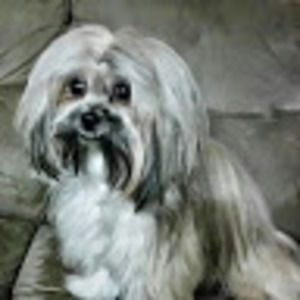 Meet your Posher, Doris